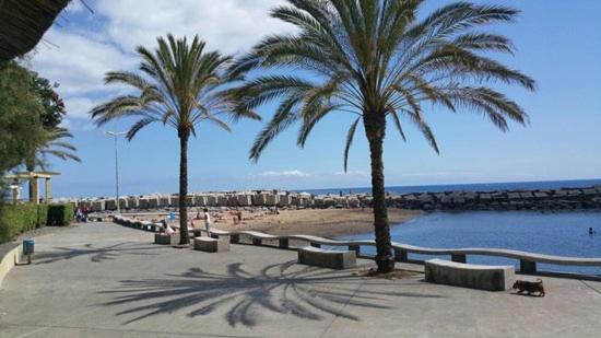 Casa Ventura Villa Arco da Calheta  Dış mekan fotoğraf