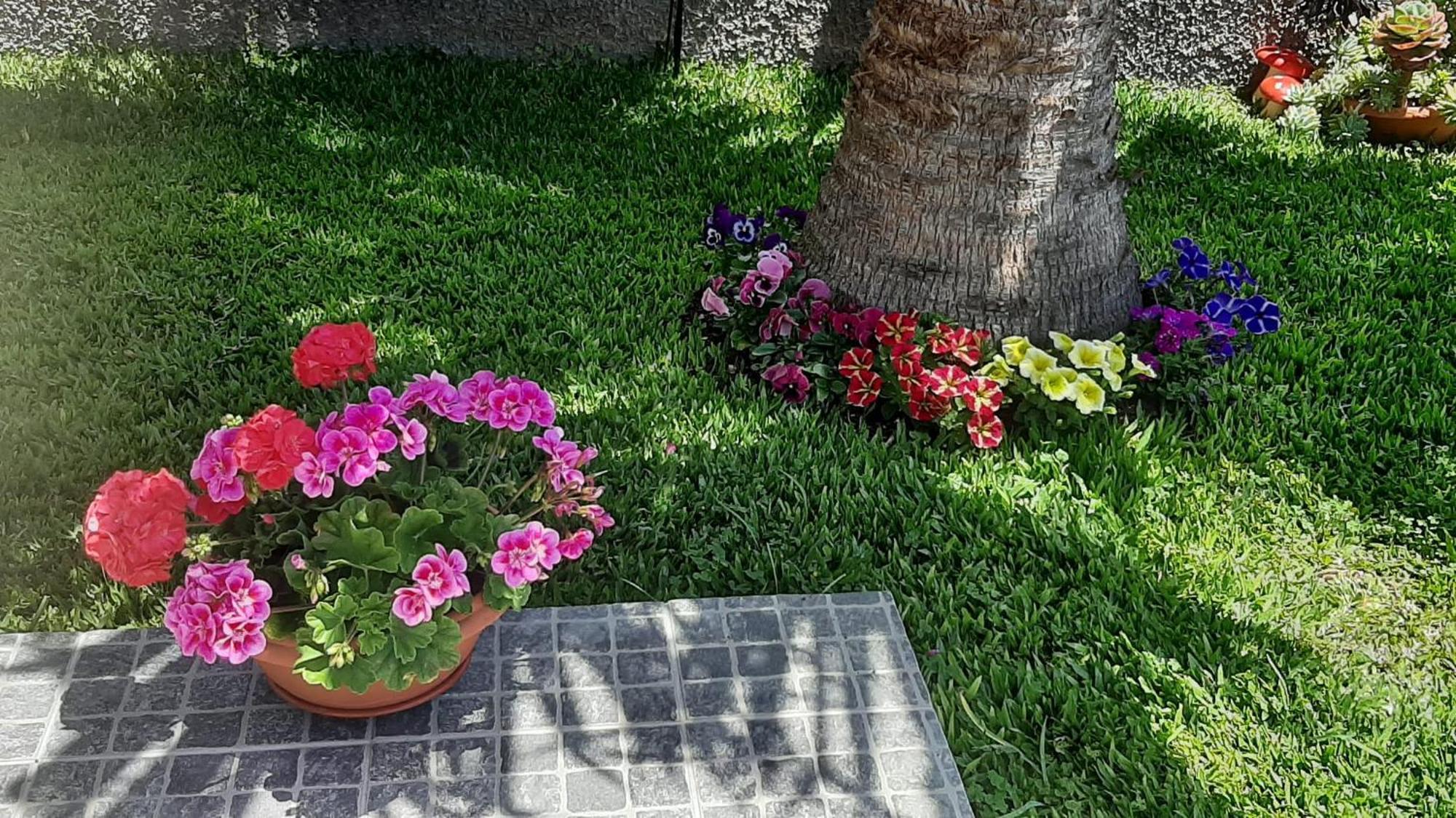 Casa Ventura Villa Arco da Calheta  Dış mekan fotoğraf